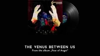 DISHARMONIC ORCHESTRA  The venus between us [upl. by Omocaig]