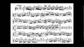 Bach JS violin concerto in A minor BWV 1041 [upl. by Elisa]