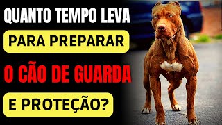 Quanto Tempo Leva Para Preparar Cães De Guarda E Proteção  Marcio Cerqueira [upl. by Ariak]