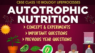 Nutrition in Amoeba Explanation  Life Processes  Class 10 Science Chapter 5 [upl. by Aitel932]