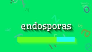 HOW TO SAY ENDOSPORAS endosporas [upl. by Olfe]