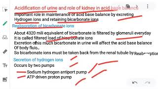 Acidification of urine and role of kidney in acid base balance [upl. by Mcclees93]