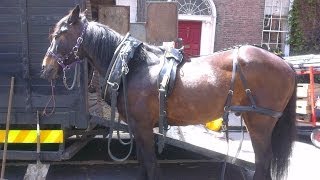 Matthew Macfadyen Behind the scenes of Ripper Street Dublin Ireland 22 May 2013 112 [upl. by Asilla]