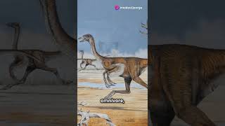 Struthiomimus The Ostrich Mimic facts shorts 🇨🇦 northamerica dinosaur science paleontology [upl. by Anih]