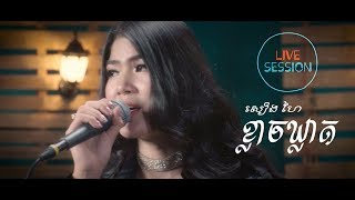 LIVE SESSION សៀងហៃ  ខ្លាចឃ្លាត [upl. by Turrell874]