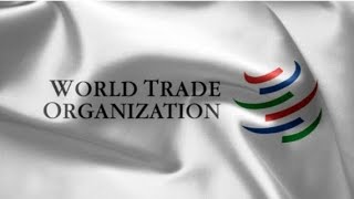 Apply World Trade Organization Internship program 2024  1860 Monthly Stipends [upl. by Hannahs]