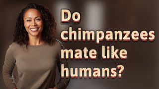 Do chimpanzees mate like humans [upl. by Adnolaj]