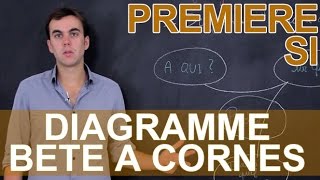 Diagramme bête à cornes  SI  Première  Les Bons Profs [upl. by Inoliel]