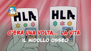 Siamo fatti così la vita 🌱 Il midollo osseo [upl. by Maidel]