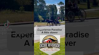 Experience paradise a little slower come to Ocoee Riverside Farm and create memories [upl. by Naret382]