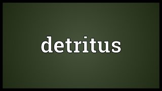 Detritus Meaning [upl. by Ynafets213]