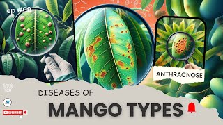 DISEASES OF MANGO TYPES [upl. by Jewel]