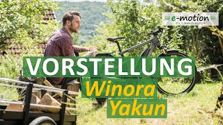 Winora Yakun  2020  Ein stylisches Trekking amp Touring eBike [upl. by Nnewg]