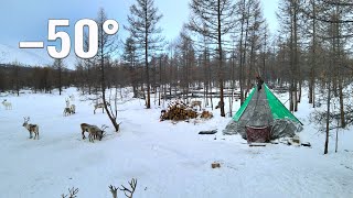 Life of Mongolia Nomads near the borders of Russia Tsaatan life in Mongolia in winter [upl. by Aicilihp883]