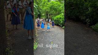 Ganulya majha distoy chhan  direction nilsable sairajkendre ganpati ganpatisong dance song [upl. by Picco959]