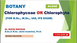 Chlorophyta or Chlorophyceae  Comparsion FE Fritsch and GM Smith Classification [upl. by Savage521]