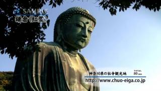 【HD】Kamakura Daibutsu Fall amp Autumn Colors  鎌倉 大仏 秋，紅葉 [upl. by Apul]