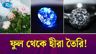 ইতিহাসে প্রথমবার ফুল থেকে বানানো হচ্ছে মহামূল্যবান হীরা  Diamonds  Rtv News [upl. by Shantha449]