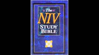 Epistle to the Galatians NIV Audio Bible Non Dramatized [upl. by Haisoj]