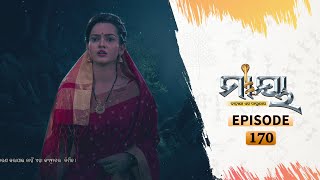 Maya  Full Ep 170  24th Oct 2020  Odia Serial – TarangTV [upl. by Enyleve]