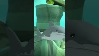 Octonauts  🐬 Dolphin vs Shark 🦈  Underwater Sea Education  shorts [upl. by Gemmell]