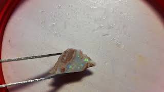 Australian Solid opal 1345CT rough opal [upl. by Auhsot]