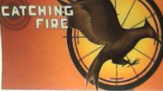 Catching Fire Audiobook Chapter 23 [upl. by Eiramana]