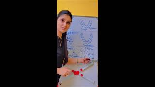 The RIDGE explain Anticline Syncline antiform Synform and Anticlinorium Synclinorium [upl. by Napas217]