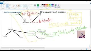 Rheumatic heart disease RHDstreptococcus pyogenes amp rheumatic fever USMLE STEP 1 CARDIOLOGY [upl. by Turmel441]