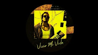 Marc Anthony  Vivir Mi Vida Kafanski Lik Remix [upl. by Gerdi]