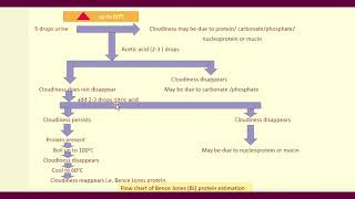 Chemical examination of Urine Proteins [upl. by Haiacim]