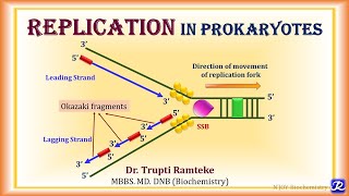 4 Replication in Prokaryotes  Molecular Biology Biochemistry  NJOY Biochemistry [upl. by Sredna]