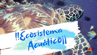 Ecosistema Acuatico [upl. by Pevzner850]