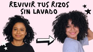 4 FORMAS DE REACTIVAR TUS RIZOS SIN LAVADO EN 5 MINUTOS 🌴 [upl. by Harriman]