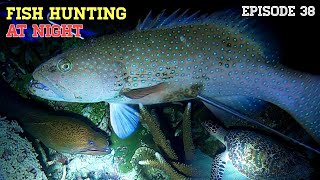 NIGHT SPEARFISHING EPISODE 38  FISH HUNTING AT NIGHT [upl. by Irv]