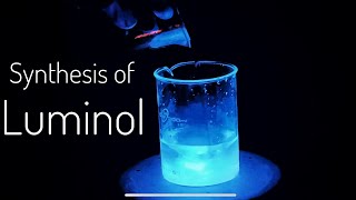 Luminol synthesis  Chemiluminescence [upl. by Enyleve]