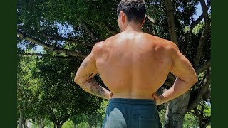 Calisthenics BACK workout for strength skill and size [upl. by Ellatsirhc]