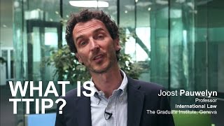 What is TTIP Joost Pauwelyn [upl. by Bass267]