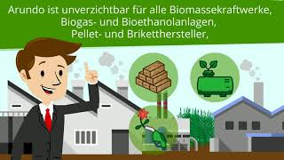 Arundo BioEnergy  Finden Sie heraus was Arundo ist und warum Sie es wissen sollten [upl. by Adele139]