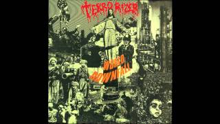 Terrorizer  Fear of Napalm Official Audio [upl. by Atsejam668]