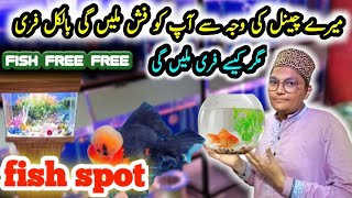 lalukhet fish aquarium  FISH SPOT inki shop par zabardast aquarium package ke sathe Karachi 🐟🐠🦐 [upl. by Ahtelat]