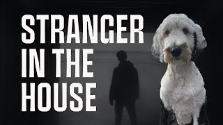 Bunny And The Mysterious Case of The Stranger In The House  Bunny The quotTalkingquot Dog [upl. by Girand604]