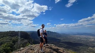 Box Forest Mt Cordeaux amp Bare Rock Track  Main Range NP 🥾⛰️ [upl. by Hsirehc577]