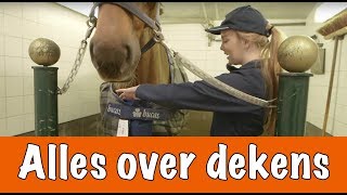 Eerste Hulp Bij Dekens Deel 1  PaardenpraatTV [upl. by Ynnav459]