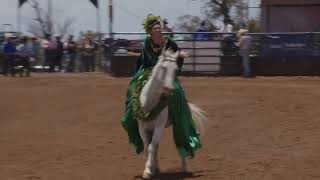 2024 Makawao Stampede Saturday Competitions [upl. by Nairahcaz809]