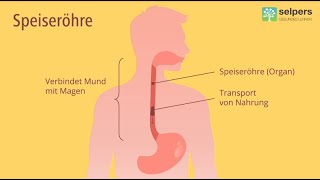 Chronische Entzündung der Speiseröhre  Eosinophile Ösophagitis Arzt erklärt [upl. by Limemann82]