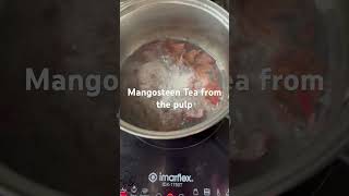 Mangosteen Tea boosts immune system and cures diarrhea [upl. by Rebeh263]