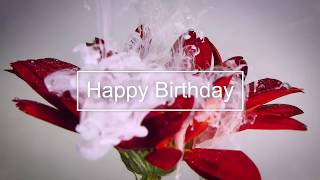 Happy Birthday Video Song Download FREE HD MP4 [upl. by Mayhew]