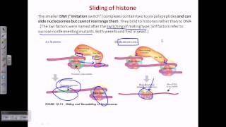 ATP dependent chromatin remodelling [upl. by Evangeline427]