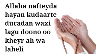 illahay ayan kudaarte ducadan wixi lo akhristo oo kheyr ah wala heli [upl. by Lightman]